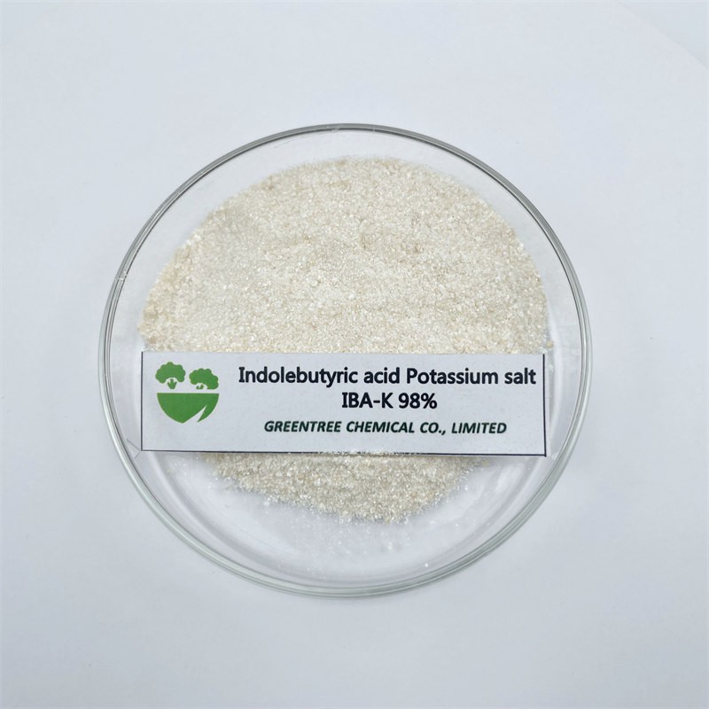 Indolebutyric acid Potassium salt IBA-K 98% Indolebutyric acid Potassium salt IBA-K 98%