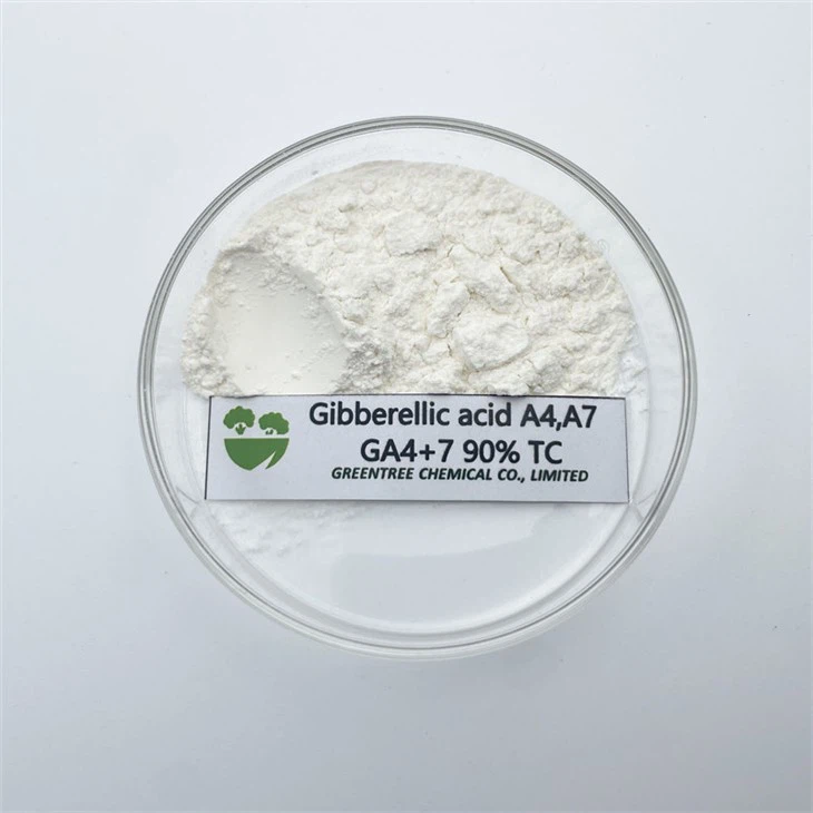 NOMER CAS. 468-44-0 & 510-75-8 Hormon Pertumbuhan Tanaman Giberelin GA4 plus 7 GA4 7 90 Tc