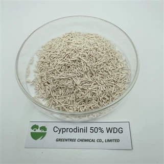 CAS 121552-61-2 Cyprodinil 50% Wdg Bahan Kimia Fungisida Bakterisida