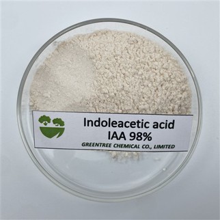 Iaa Hormon Indole Plant Growth-Hormon Regulator Indoleacetic acid IAA 98 persen Tc CAS 87-51-4