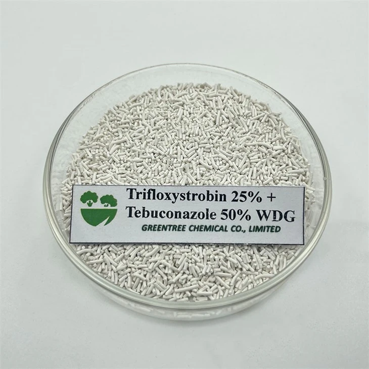 Fungisida Pestisida Beraksi Cepat dan Sangat Efektif Trifloxystrobin 25% + Tebuconazole 50% WDG