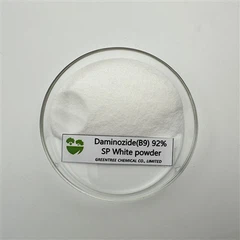 Seorang Pelanggan di Kazakhstan Memesan 100 kg Butyrylhydrazine 92%.