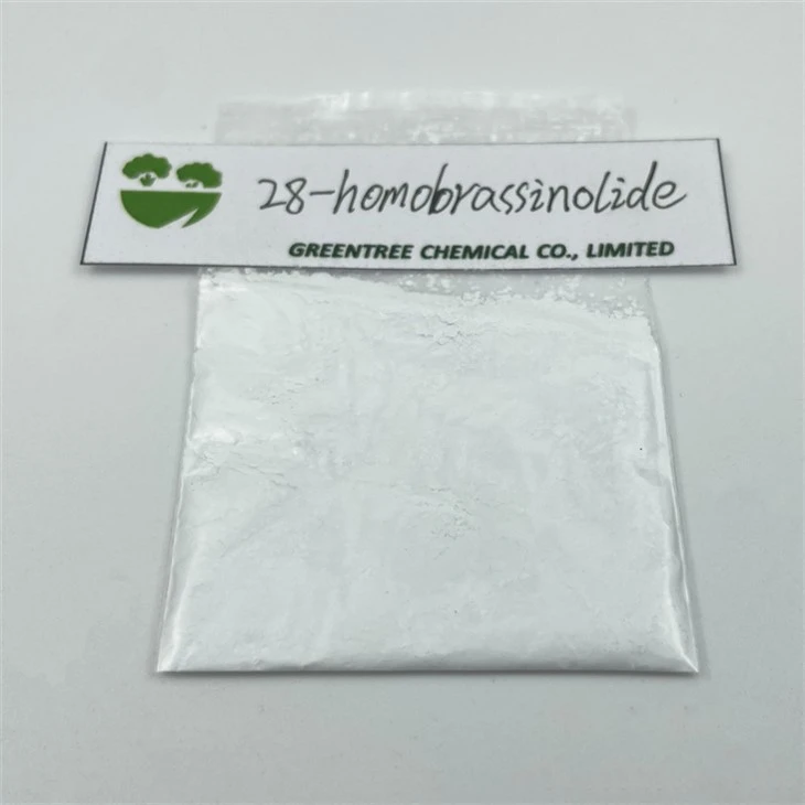 C29H60O6 28-homoBrassinolide Brassinolide 90% Tc For Promoting Fruit Enlargement